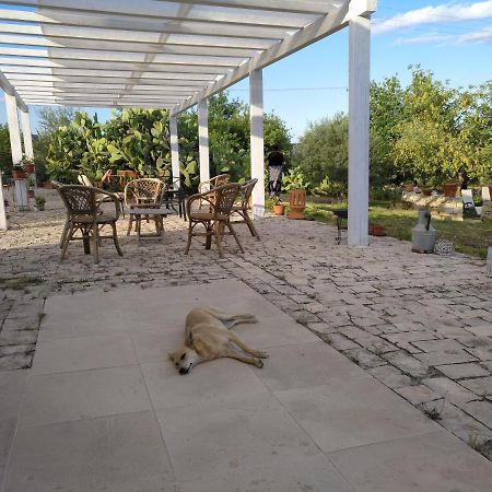 Вилла Agriturismo Gaia Ното Экстерьер фото